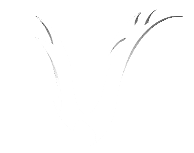 Main Logo of Valkyrieee.com